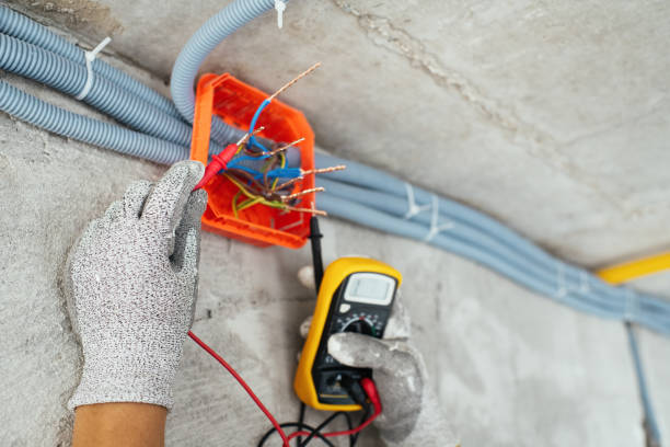 Best Electric Panel Repair  in Fox Lake Hls, IL